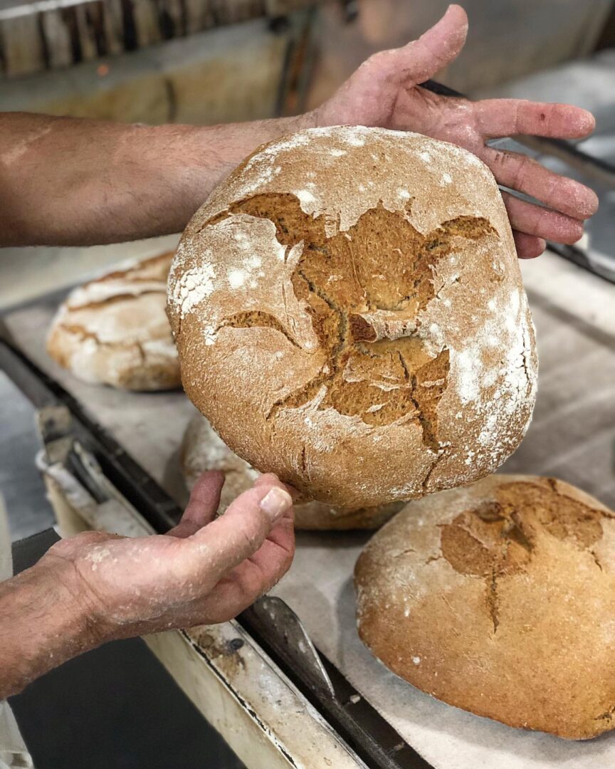 Manos de nuestro maestro panadero, Paco, mostrando el pan de Xeixa